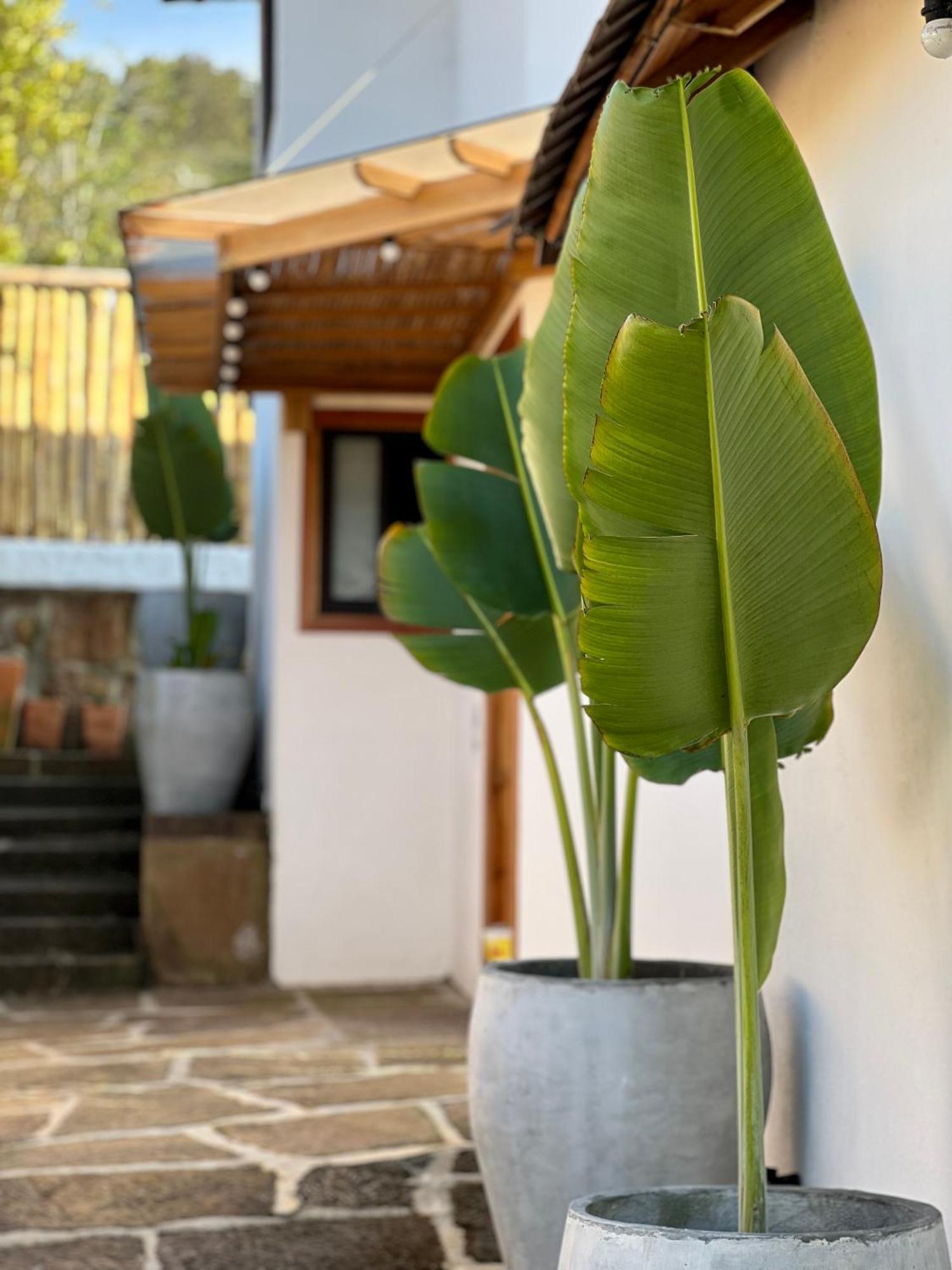 Hotel Campestre Palmas Del Zamorano San Gil Zewnętrze zdjęcie